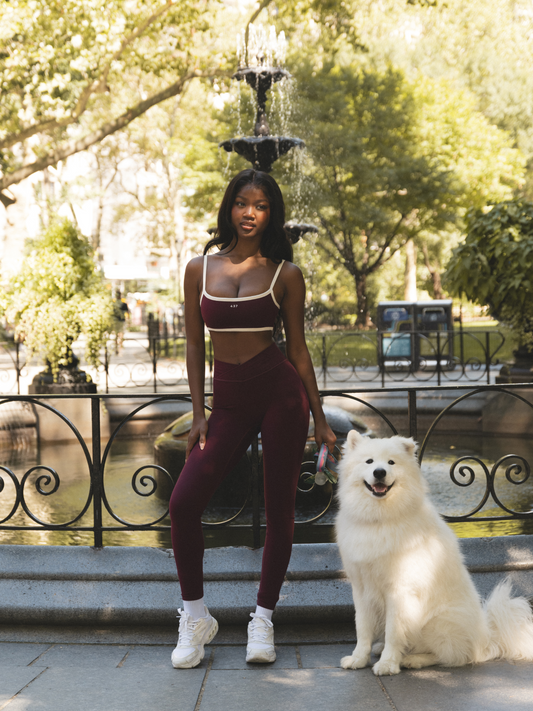 The V Legging / Black-Cherry